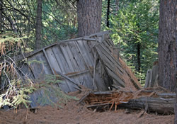 A Third House